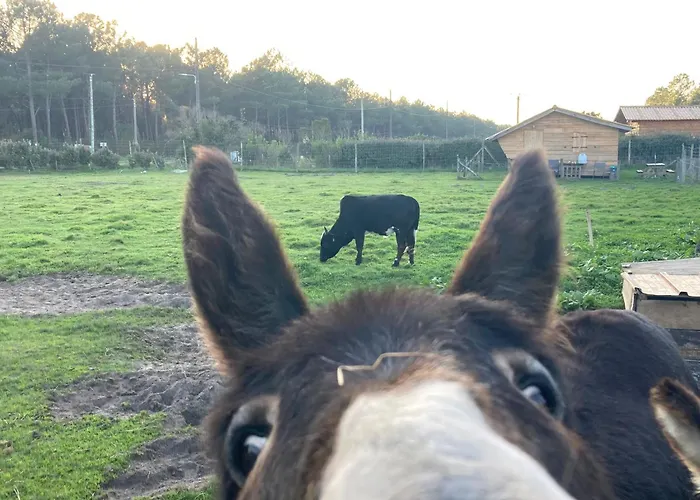- La Ferme A La Le Porge