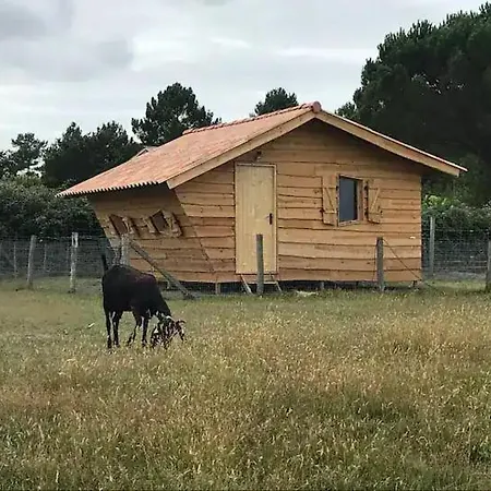 - La Ferme A La Campsite *