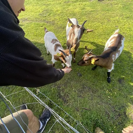 - La Ferme A La Campsite *