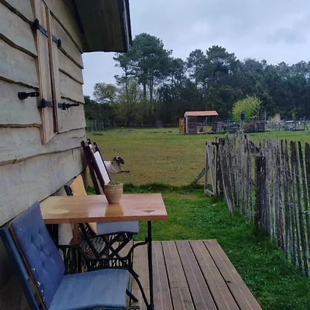 - La Ferme A La Camping