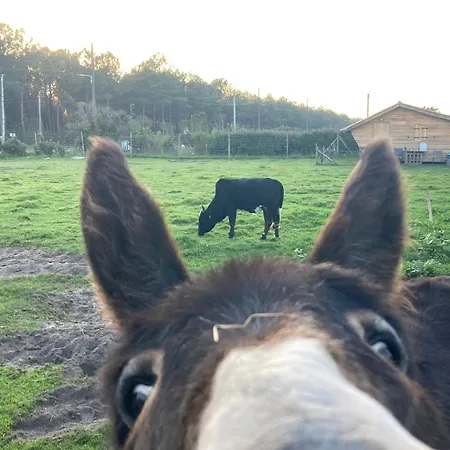 - La Ferme A La Le Porge