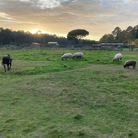 Campingplads - La Ferme A La Le Porge